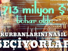 713 milyon dolar buhar olup uçtu!