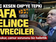 Cumhurbaşkanı Erdoğan’dan ağaç kesen CHP’ye tepki