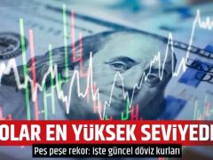 Dolar tüm zamanların en yüksek seviyesinde