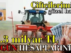 12.3 milyar TL’lik destek, çiftçilerin hesaplarına yatırılıyor