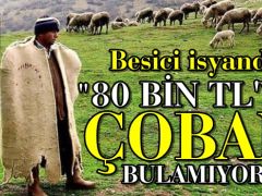 Besiciden çoban isyanı: 80 bin lira maaşla çalışacak kimseyi bulamıyoruz