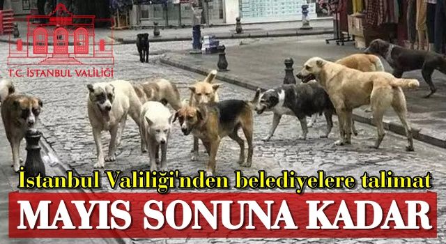 İstanbul Valiliği’nden belediyelere net talimat: Mayıs ayı sonuna kadar süre verildi